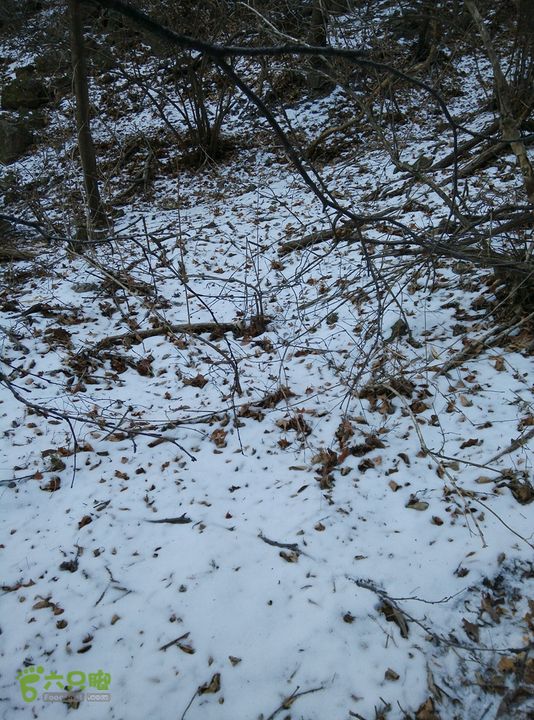 幽州村～水壶沟-天坑-芦子水小庙～向阳口村PIC_20140309_145151_B5D