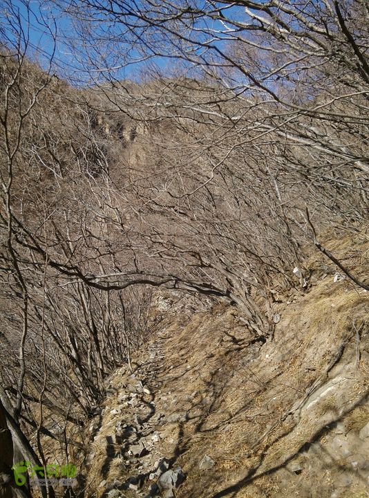 幽州村～水壶沟-天坑-芦子水小庙～向阳口村PIC_20140309_150100_289