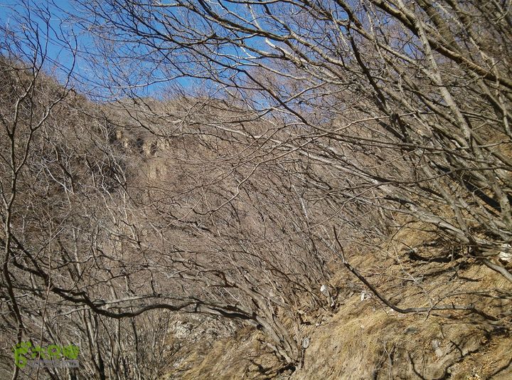 幽州村～水壶沟-天坑-芦子水小庙～向阳口村PIC_20140309_150108_8B4