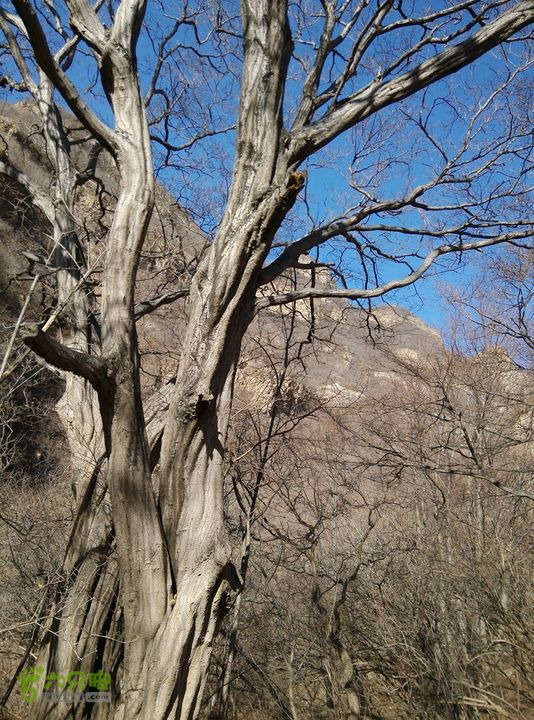 幽州村～水壶沟-天坑-芦子水小庙～向阳口村PIC_20140309_150524_F2D