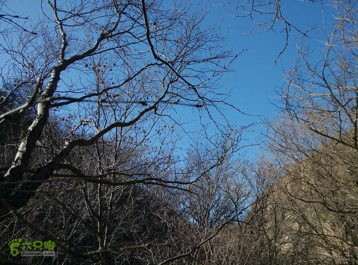 幽州村～水壶沟-天坑-芦子水小庙～向阳口村PIC_20140309_153200_B6F