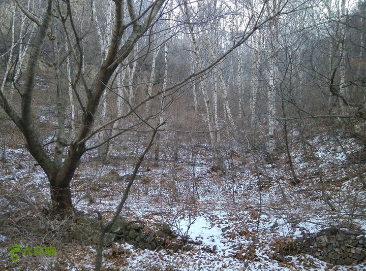 幽州村～水壶沟-天坑-芦子水小庙～向阳口村PIC_20140309_155850_A1D