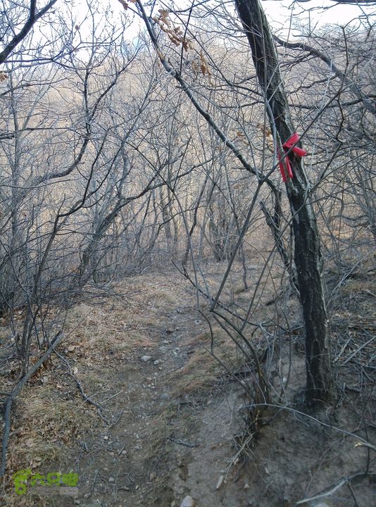 幽州村～水壶沟-天坑-芦子水小庙～向阳口村PIC_20140309_161717_4FB