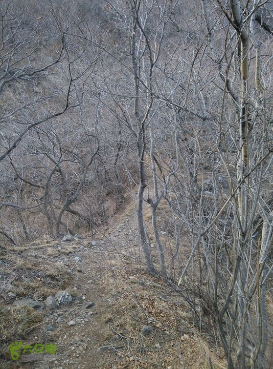 幽州村～水壶沟-天坑-芦子水小庙～向阳口村PIC_20140309_161721_B1F