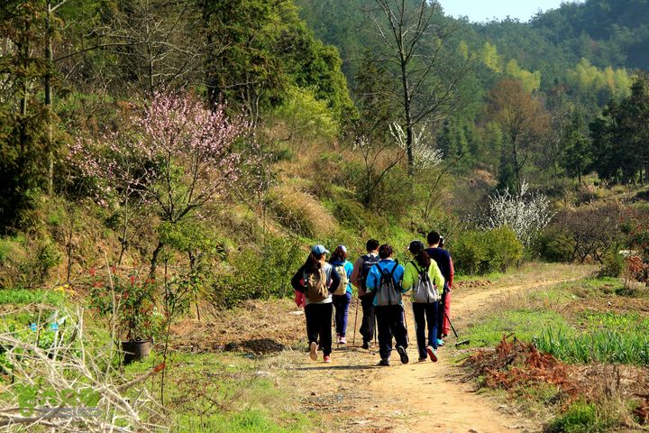 20140315永康峰箬村龙溪山环线nEO_IMG_IMG_3581