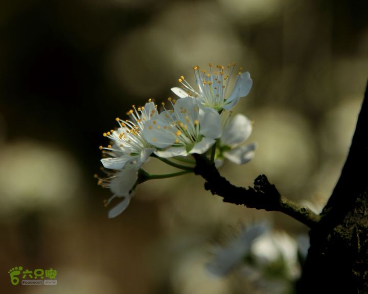 20140315永康峰箬村龙溪山环线nEO_IMG_IMG_3584