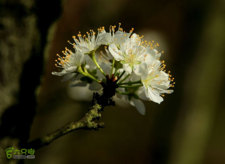 20140315永康峰箬村龙溪山环线nEO_IMG_IMG_3585