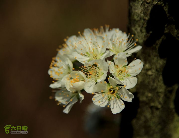 20140315永康峰箬村龙溪山环线nEO_IMG_IMG_3586