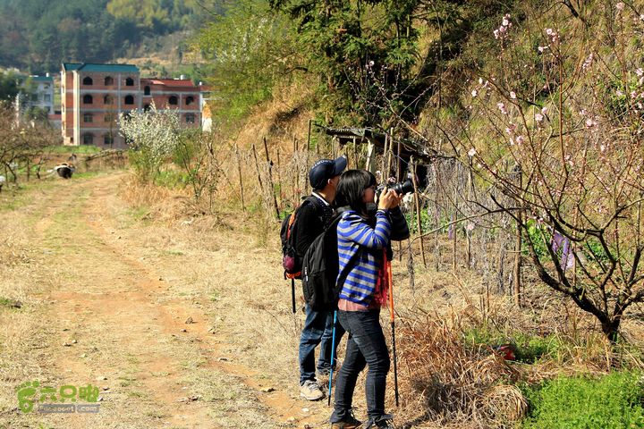 20140315永康峰箬村龙溪山环线nEO_IMG_IMG_3587