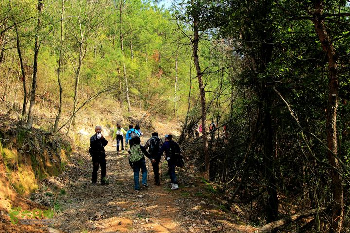 20140315永康峰箬村龙溪山环线nEO_IMG_IMG_3594