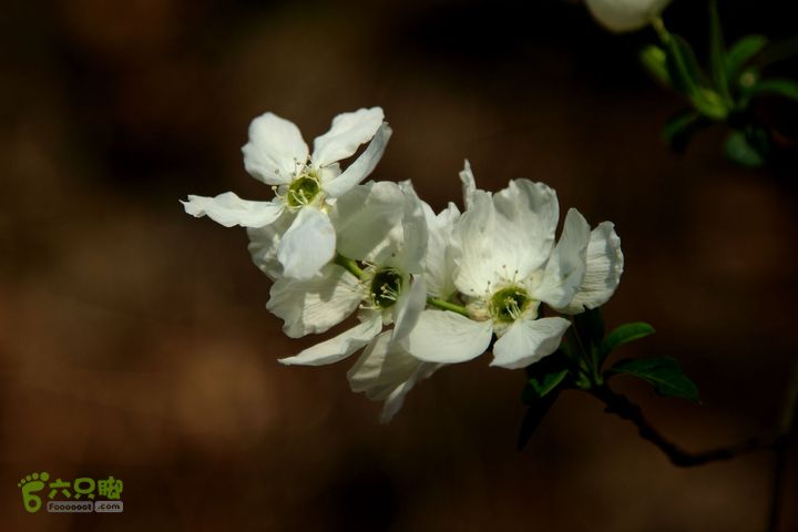 20140315永康峰箬村龙溪山环线nEO_IMG_IMG_3596