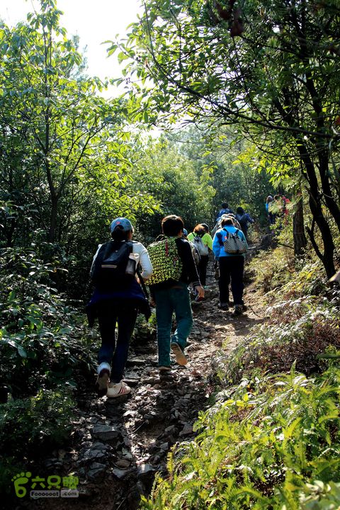 20140315永康峰箬村龙溪山环线nEO_IMG_IMG_3606