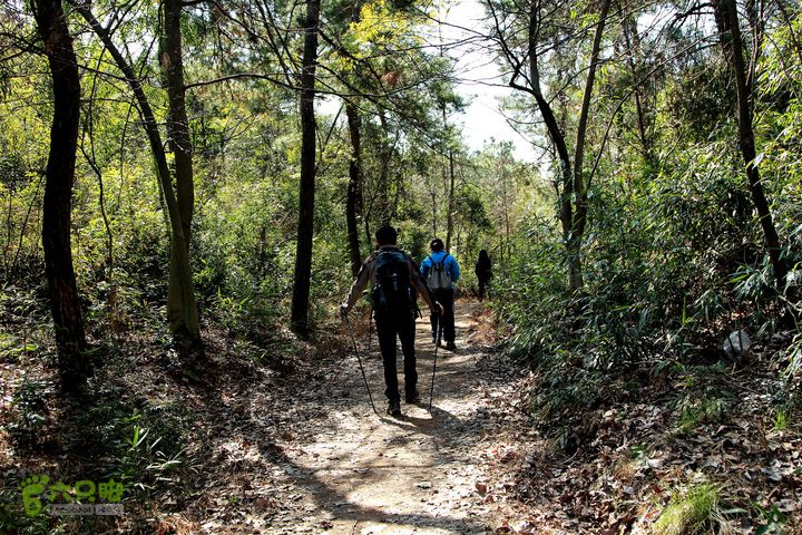 20140315永康峰箬村龙溪山环线nEO_IMG_IMG_3642
