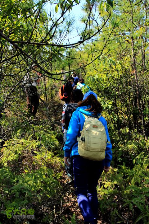 20140315永康峰箬村龙溪山环线nEO_IMG_IMG_3665