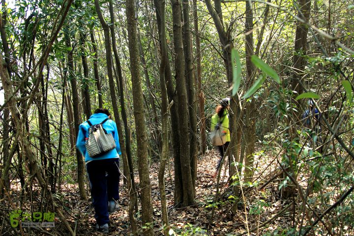 20140315永康峰箬村龙溪山环线nEO_IMG_IMG_3747