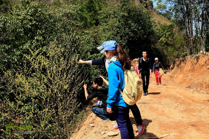 20140315永康峰箬村龙溪山环线nEO_IMG_IMG_3767