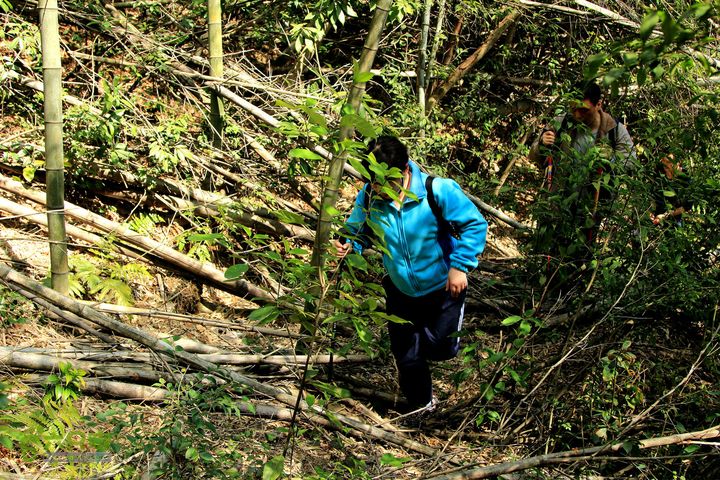20140315永康峰箬村龙溪山环线nEO_IMG_IMG_3793