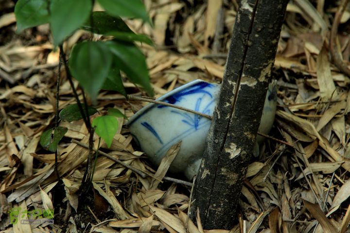 20140315永康峰箬村龙溪山环线nEO_IMG_IMG_3795