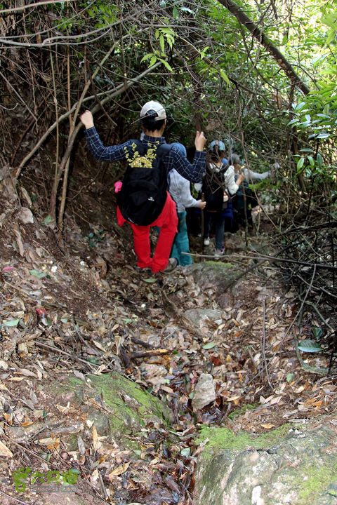 20140315永康峰箬村龙溪山环线nEO_IMG_IMG_3810