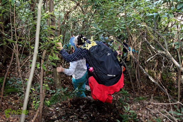 20140315永康峰箬村龙溪山环线nEO_IMG_IMG_3813