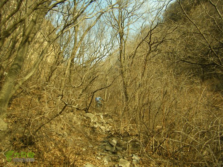 水头村—水头长城—圆台—马套峡谷—公主梳妆台—芦子水—向阳村DSCF0253