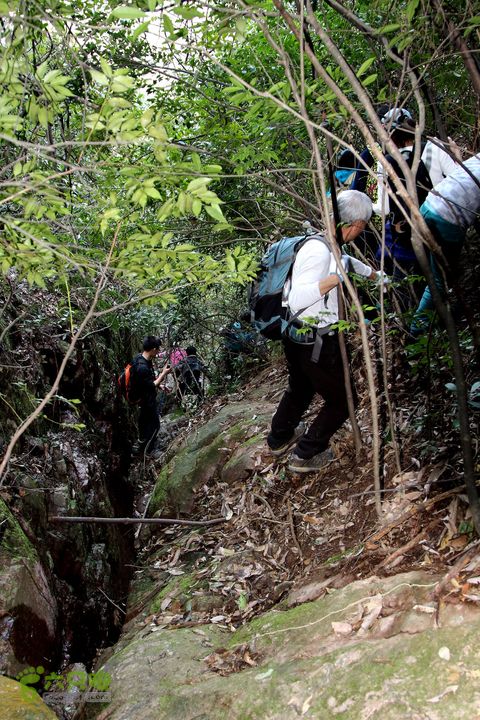20140315永康峰箬村龙溪山环线nEO_IMG_IMG_3819
