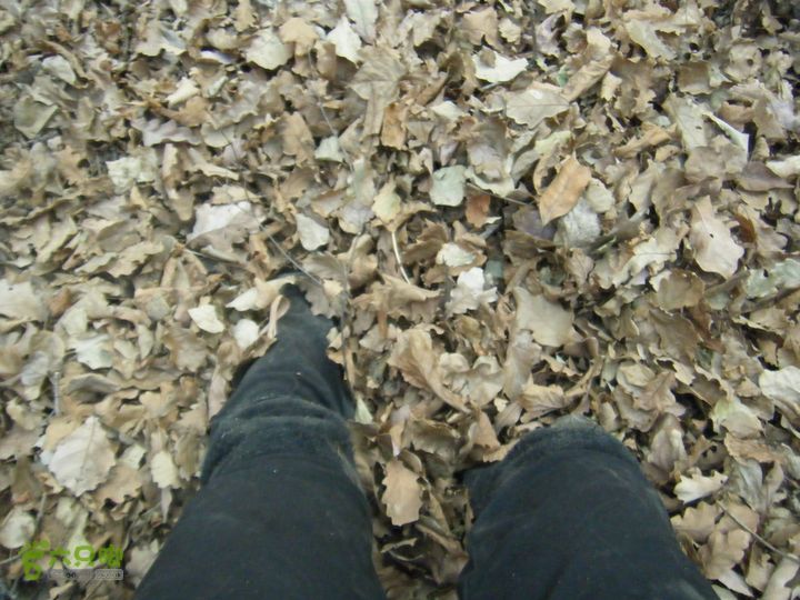 水头村—水头长城—圆台—马套峡谷—公主梳妆台—芦子水—向阳村DSCF0240