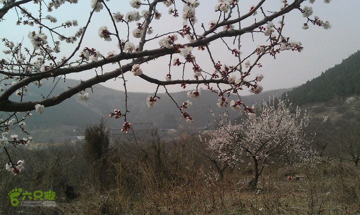 徐州贾汪大洞山环线2014-03-18 12:36:29