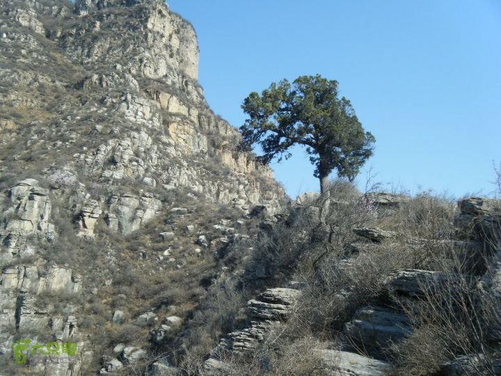 14.3.22山西黑窑环线登山赏桃花DSCF0039