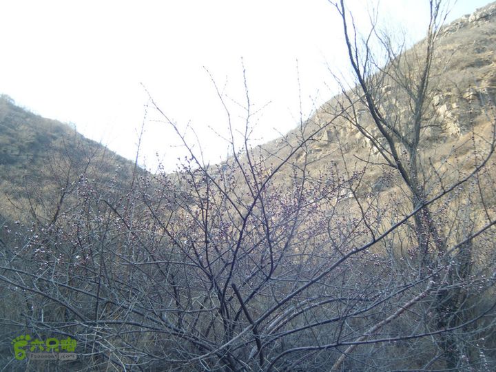 14.3.22山西黑窑环线登山赏桃花DSCF0107