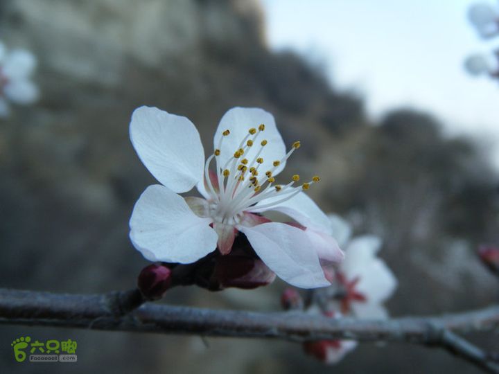 14.3.22山西黑窑环线登山赏桃花DSCF0112