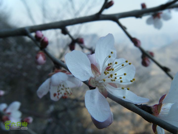 14.3.22山西黑窑环线登山赏桃花DSCF0114