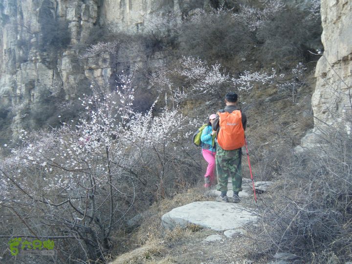 14.3.22山西黑窑环线登山赏桃花DSCF0117