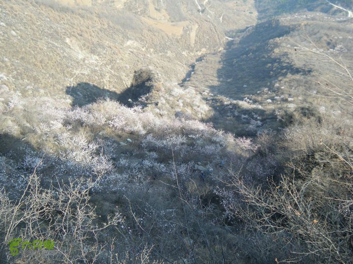 14.3.22山西黑窑环线登山赏桃花DSCF0120