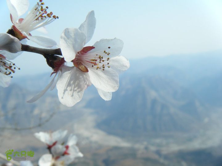 14.3.22山西黑窑环线登山赏桃花DSCF0125