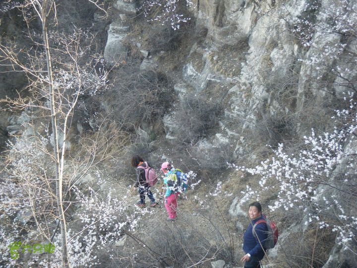 14.3.22山西黑窑环线登山赏桃花DSCF0130