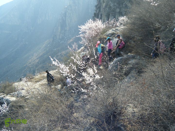 14.3.22山西黑窑环线登山赏桃花DSCF0138