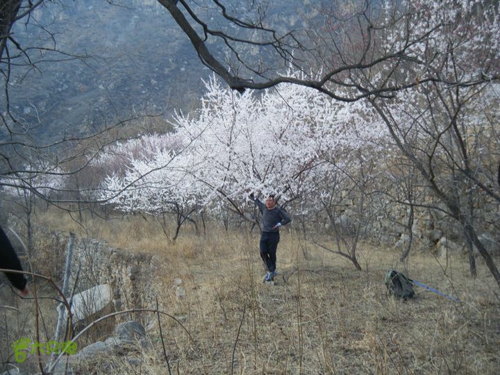 14.3.22山西黑窑环线登山赏桃花DSCF0150