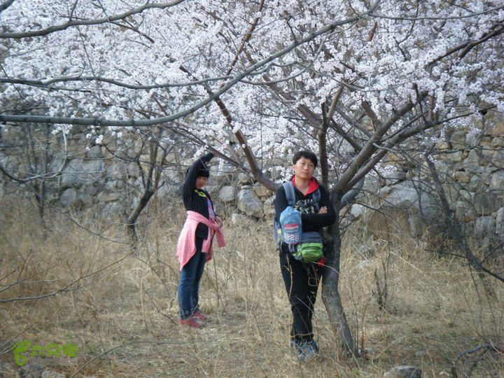 14.3.22山西黑窑环线登山赏桃花DSCF0151