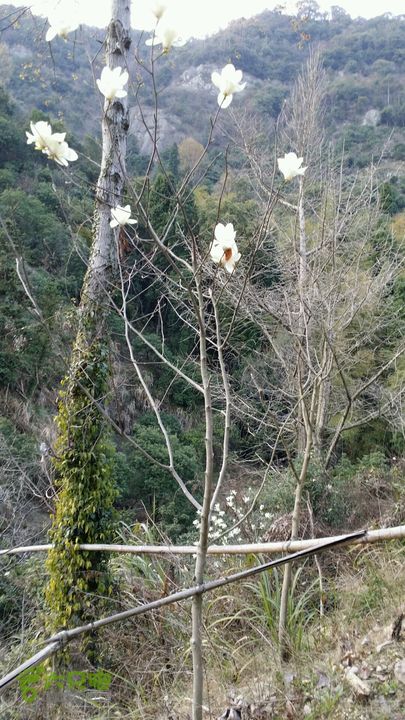 温岭长屿洞天2014-03-15 17:22:43