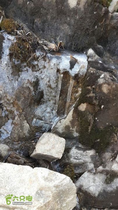 一日七尖标准线路（起点终点都在山脚下）通往千亩峰的乱石坡有冰（当天温度10度以上，太阳很大）