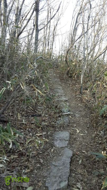 一日七尖标准线路（起点终点都在山脚下）通往仙人顶的路很好走