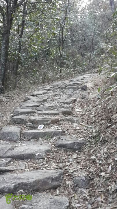 一日七尖标准线路（起点终点都在山脚下）仙人顶通往山下的路一直是石头路