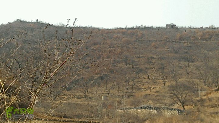 花场峪北沟……媳妇楼……拿子峪长城环穿2014-03-23 13:08:39