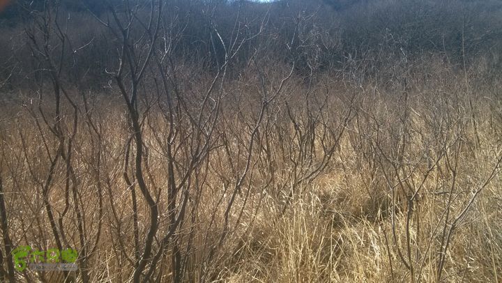 大觉寺萝芭地北尖凉水背阳台山大风口小风口车耳营凤凰岭车站切到路上了