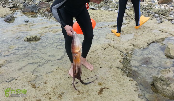 2014-03-27 三亚东岛+西岛串联横渡-创造新的历史！20140327_113457