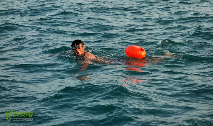 2014-03-27 三亚东岛+西岛串联横渡-创造新的历史！DSC07754