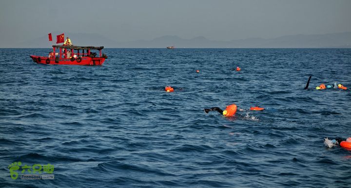 2014-03-27 三亚东岛+西岛串联横渡-创造新的历史！DSC07839