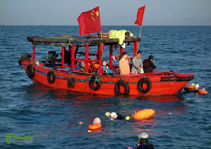 2014-03-27 三亚东岛+西岛串联横渡-创造新的历史！DSC07872