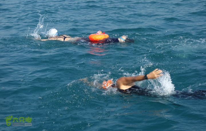 2014-03-27 三亚东岛+西岛串联横渡-创造新的历史！DSC07994